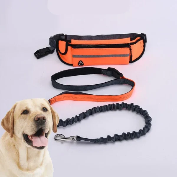 Hands Free Dog Leash for Running Walking